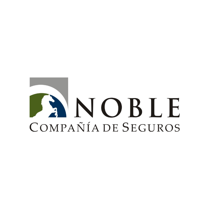 NOBLE SEGUROS